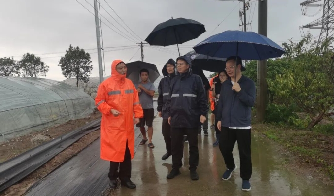 臺風“貝碧嘉”侵襲后：市農業農村委迅速行動，全力恢復農業生產、穩定農產品供應、維護農民利益